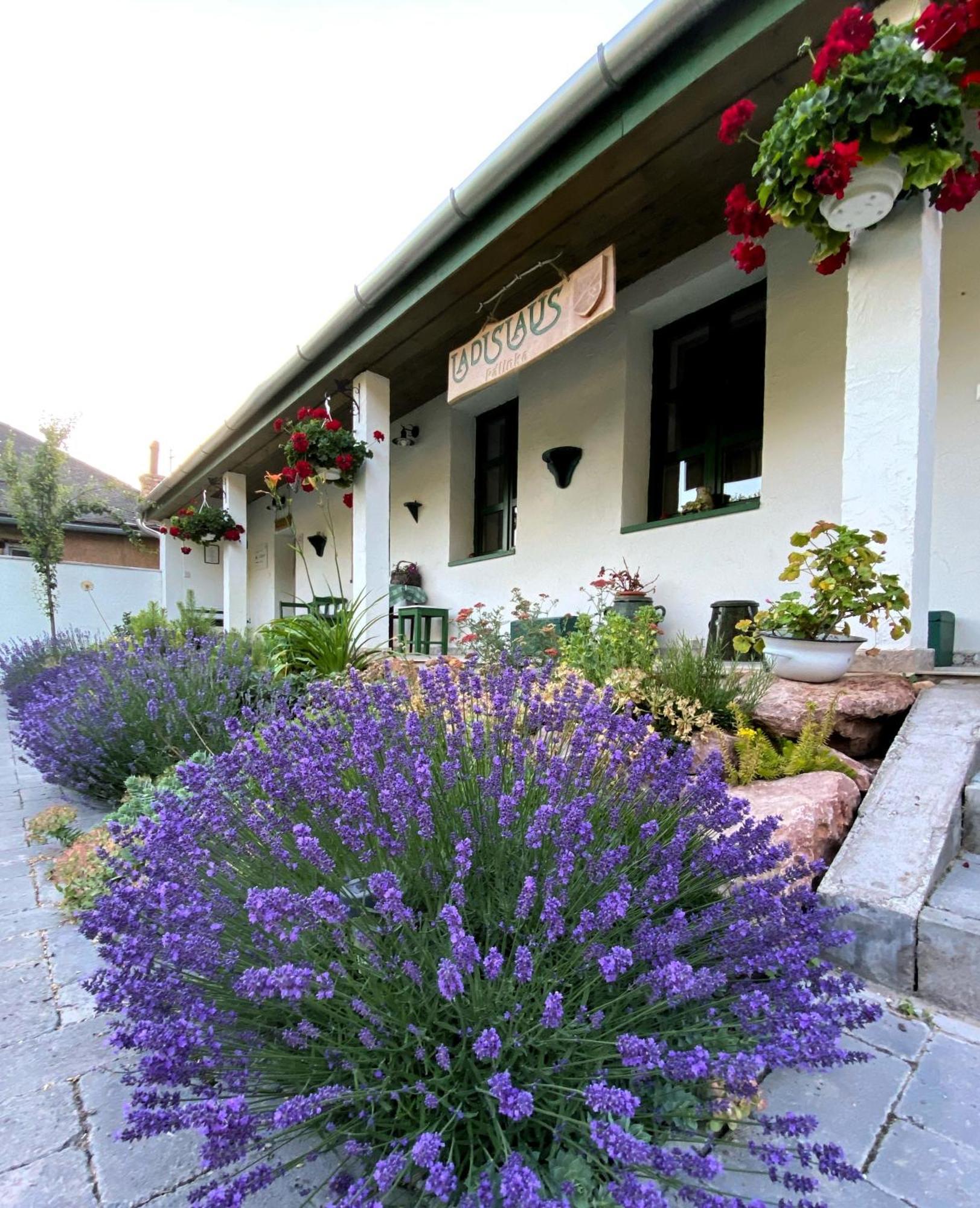 Ladislaus Schnaps-Haus Falusi Vendeghaz Csolnok Exterior foto