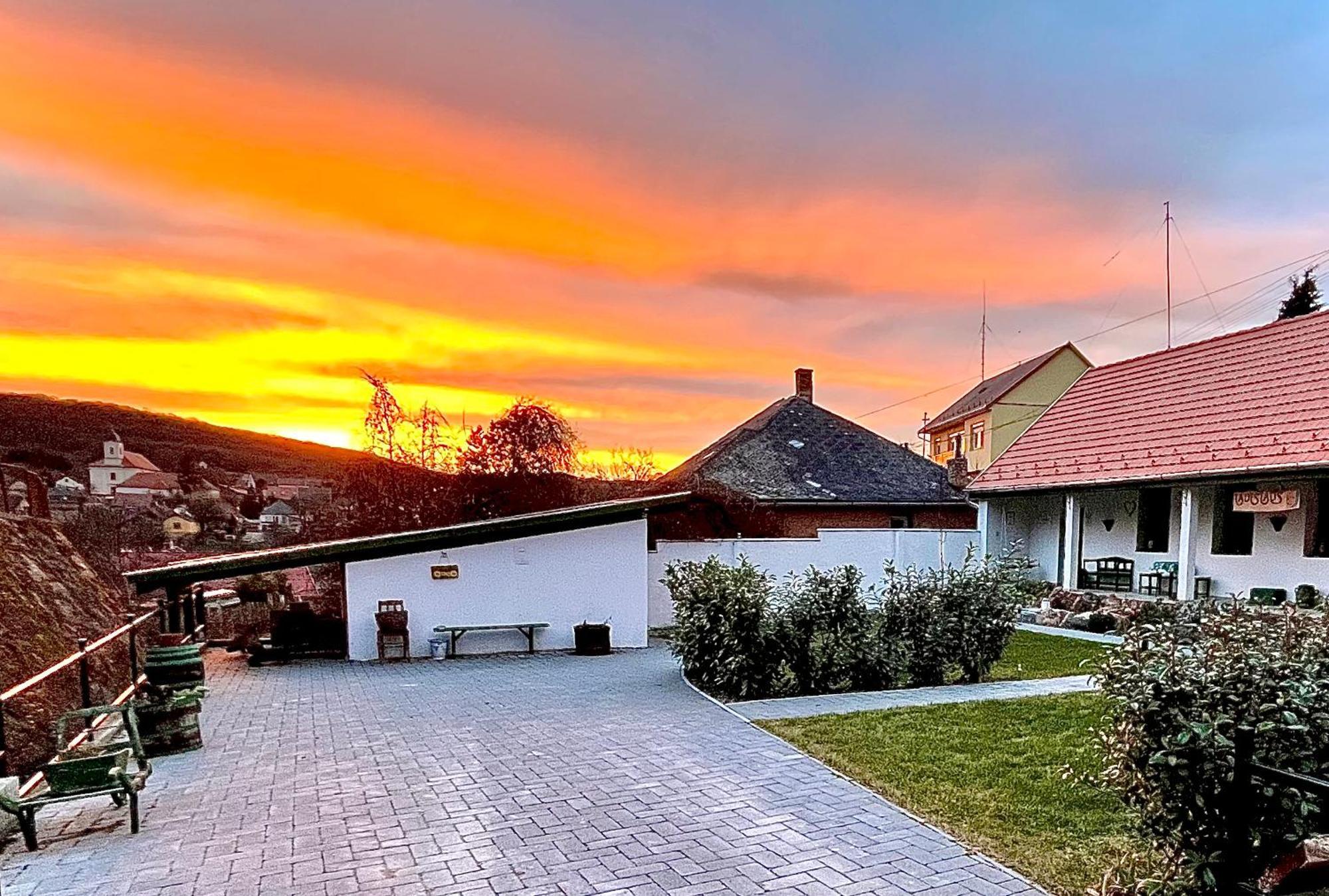 Ladislaus Schnaps-Haus Falusi Vendeghaz Csolnok Exterior foto